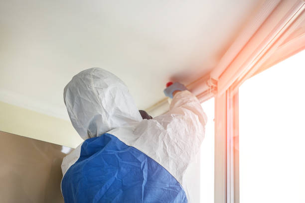 Best Emergency Mold Remediation in Oshkosh, WI