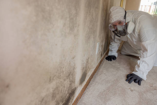 Best Residential Mold Inspection & Testing in Oshkosh, WI